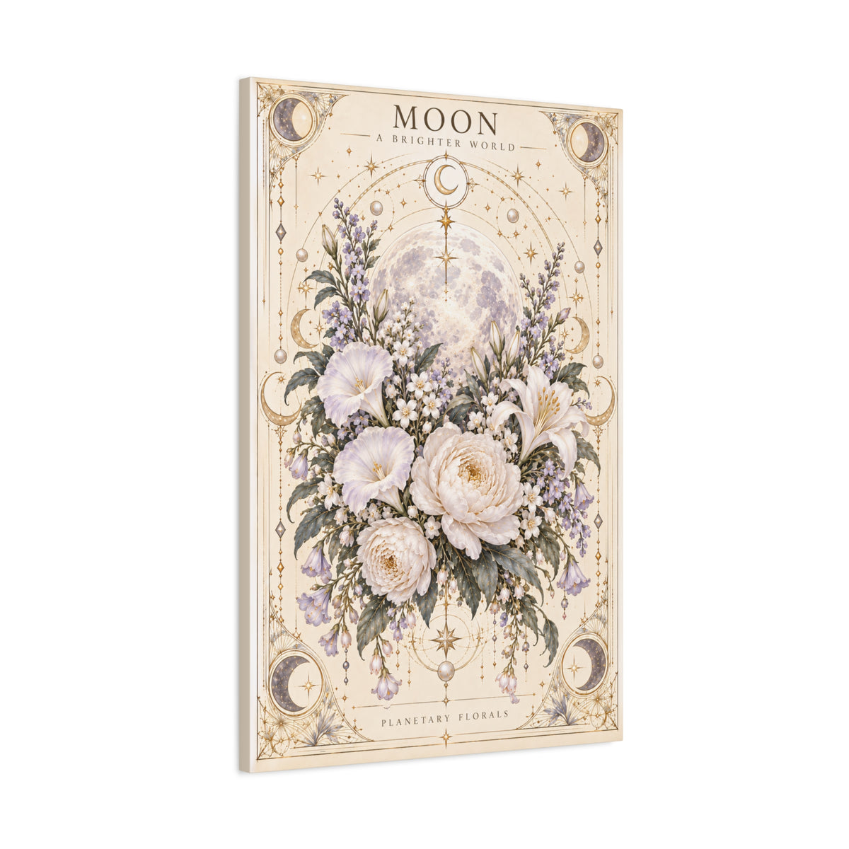 Moon – Night Blooms in Borrowed Light