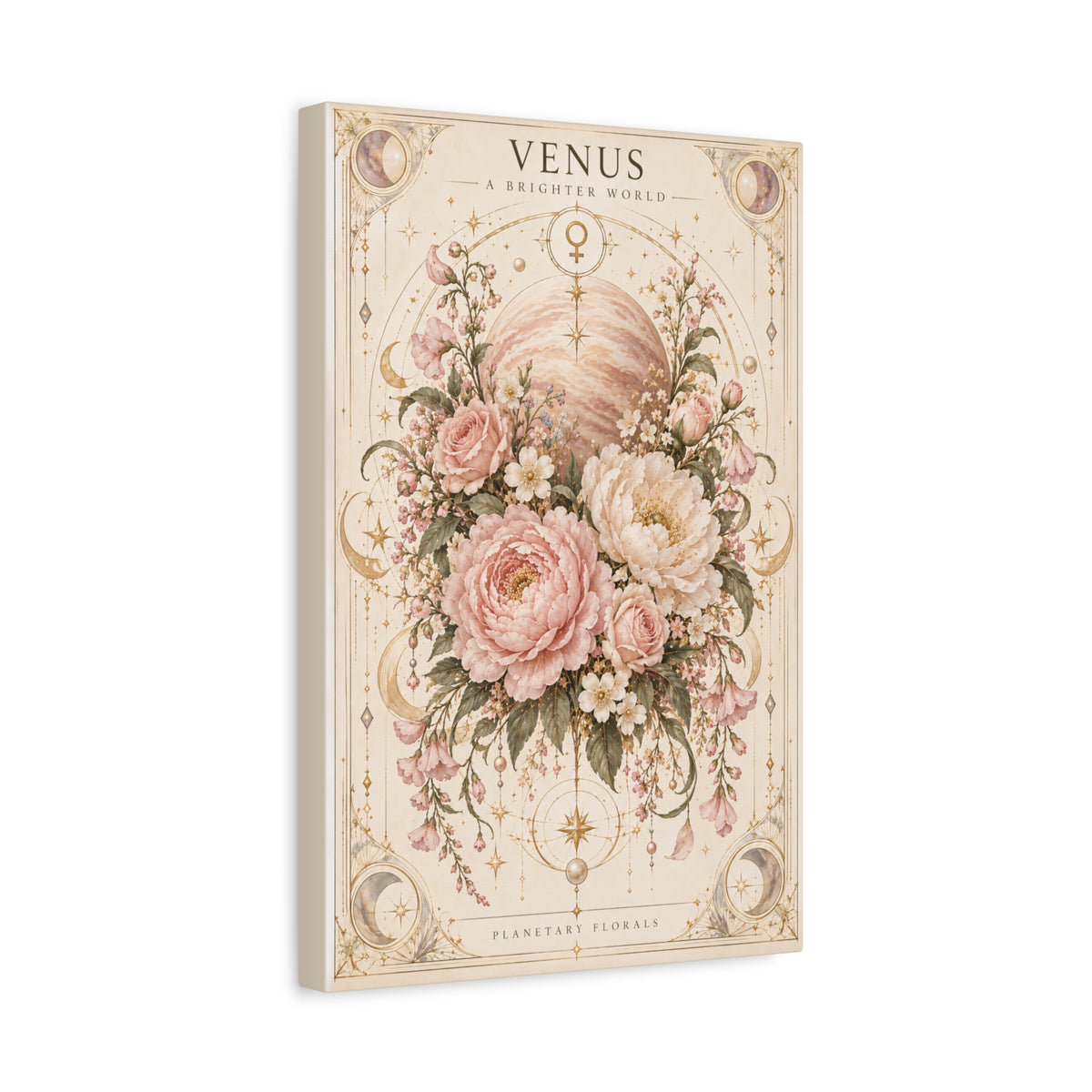 Venus – Tenderness Has Mass