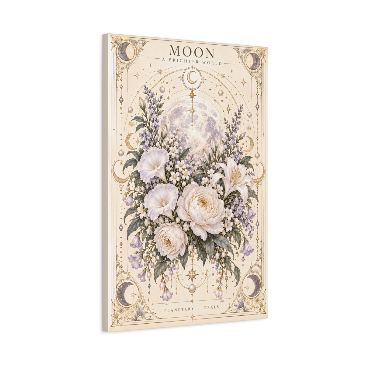 Moon – Night Blooms in Borrowed Light