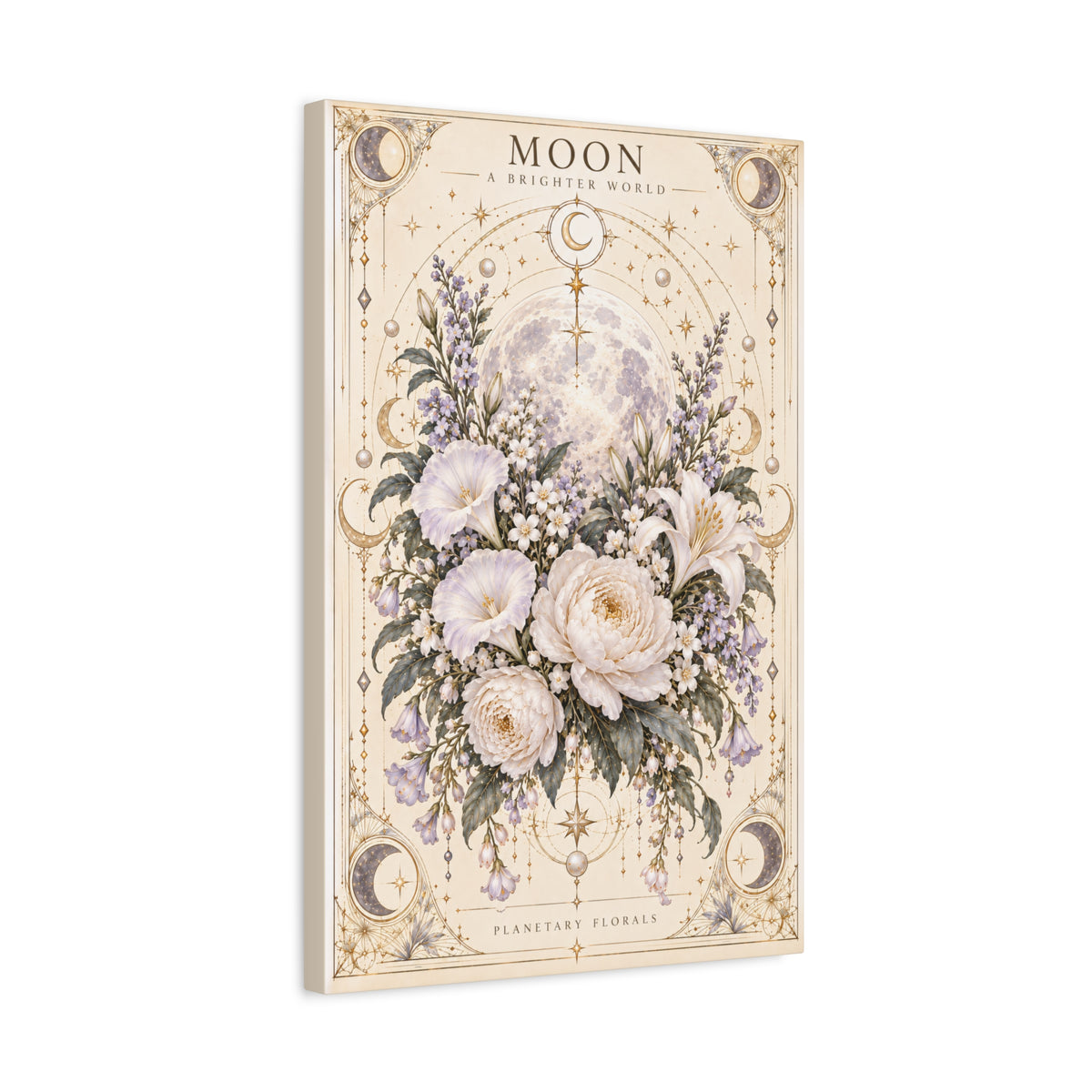 Moon – Night Blooms in Borrowed Light