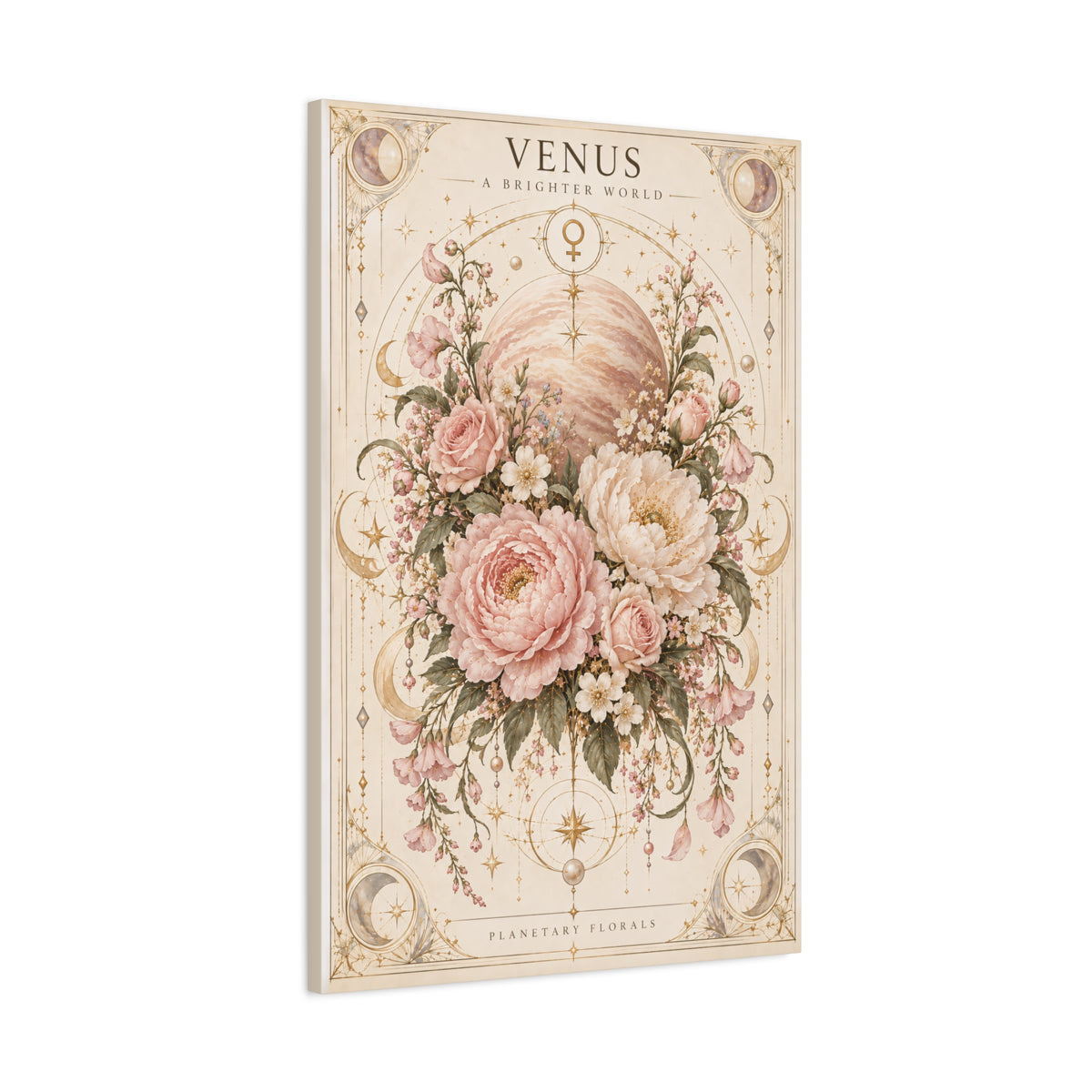 Venus – Tenderness Has Mass