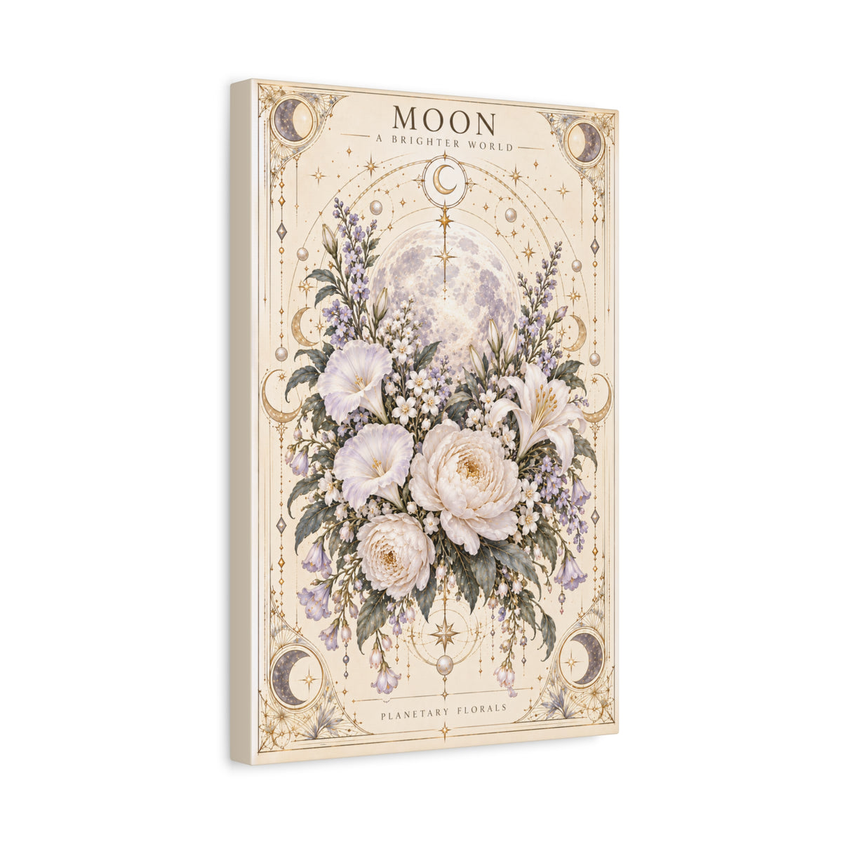 Moon – Night Blooms in Borrowed Light