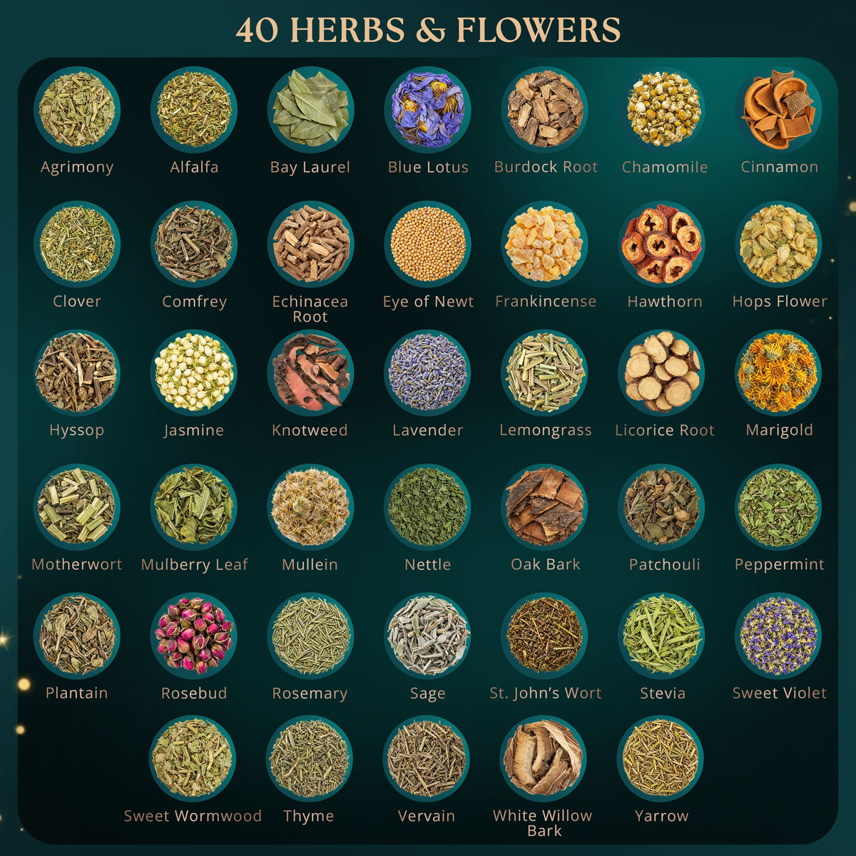 Botanical Herb Kit — 40 Pieces