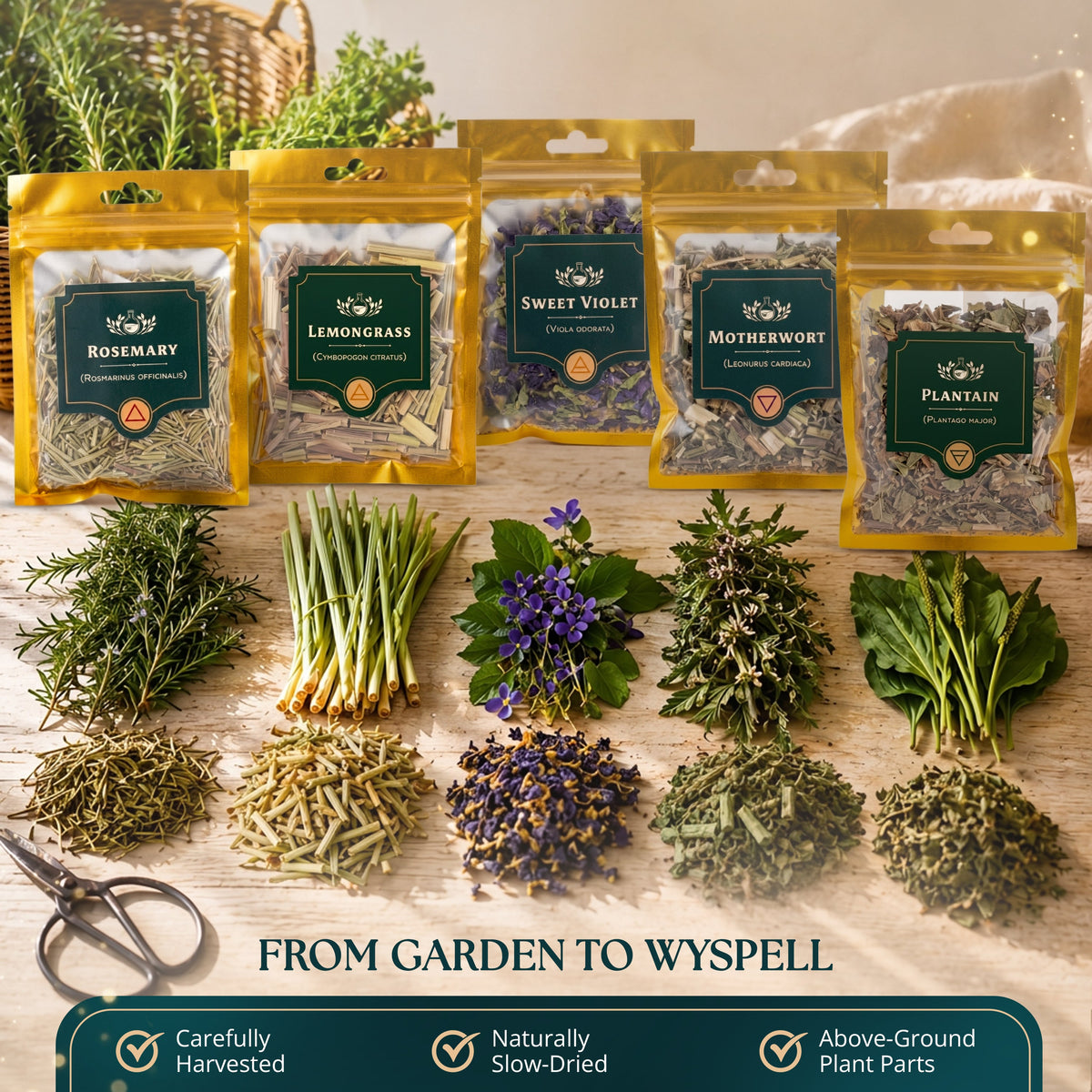 Botanical Herb Kit — 40 Pieces