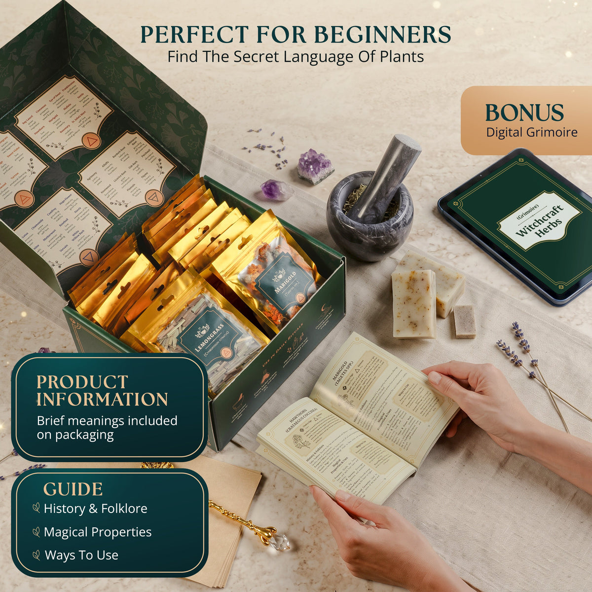 Botanical Herb Kit — 40 Pieces