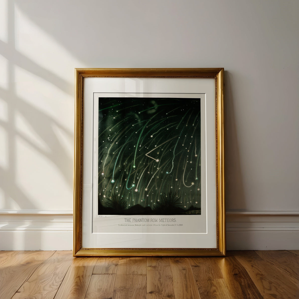 November Meteors — Celestial Print