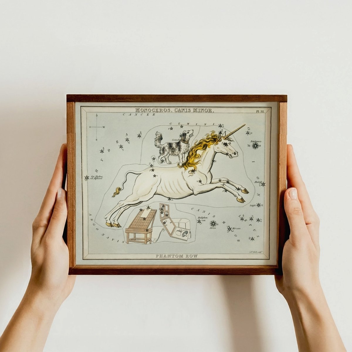 Monoceros Constellation — Unicorn Print