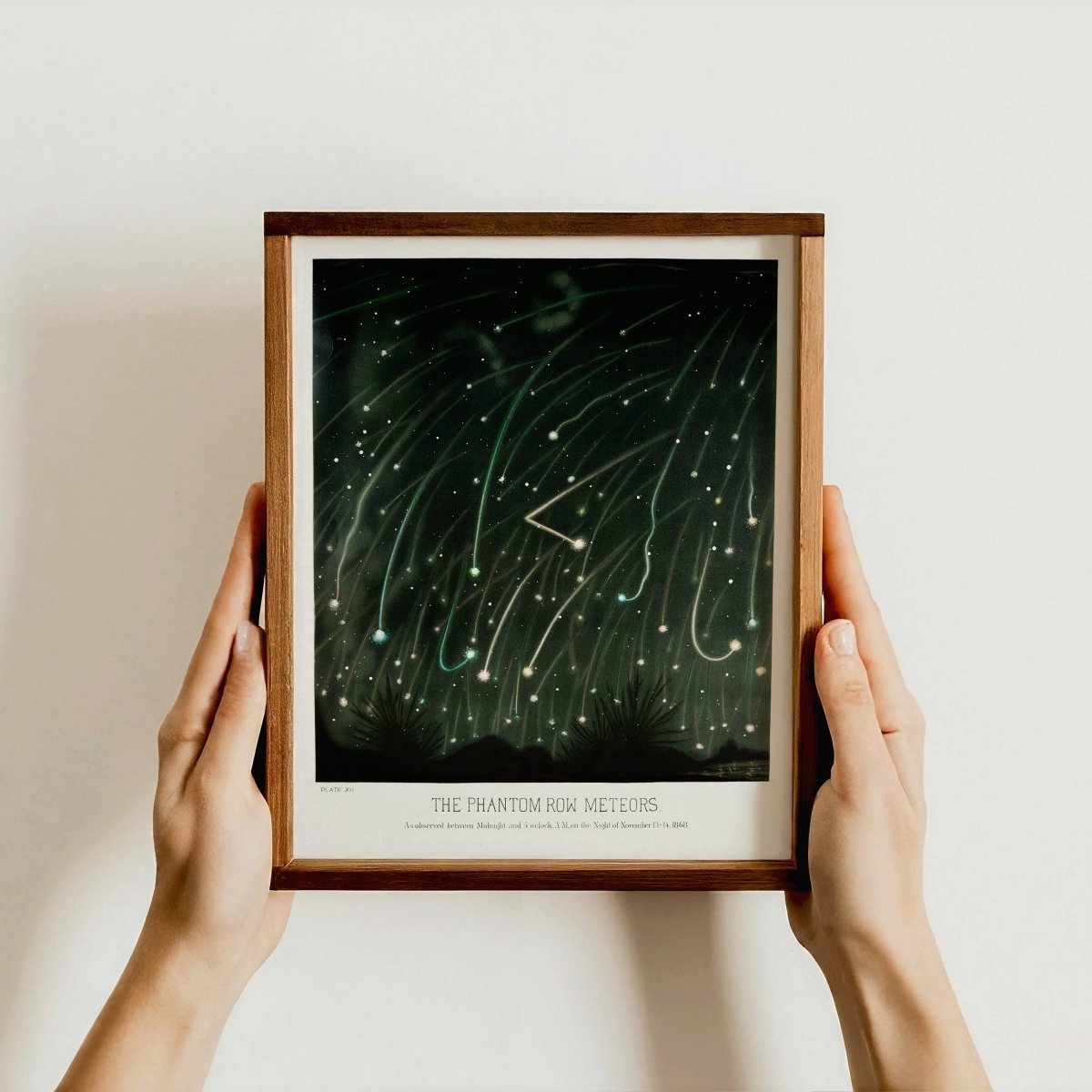 November Meteors — Celestial Print