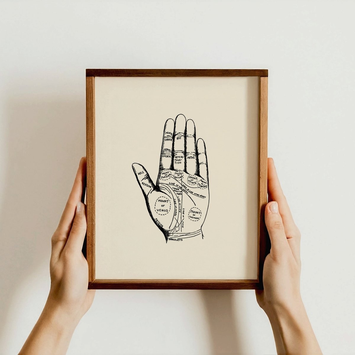 Palmistry — Vintage Print