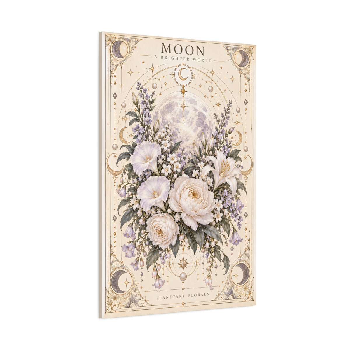 Moon – Night Blooms in Borrowed Light