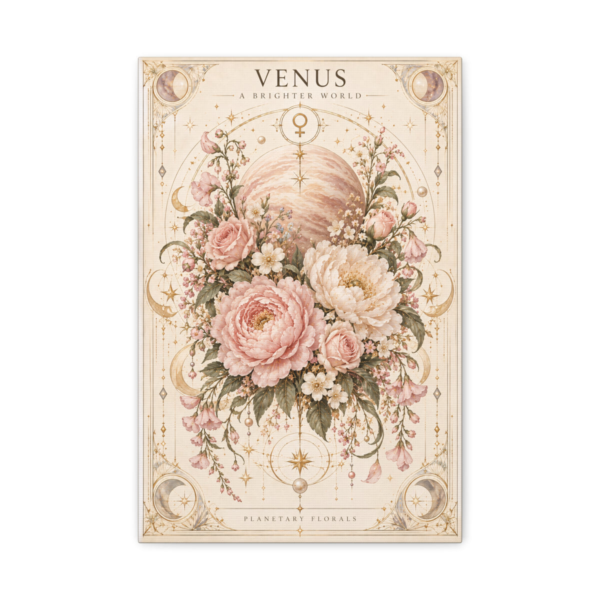 Venus – Tenderness Has Mass