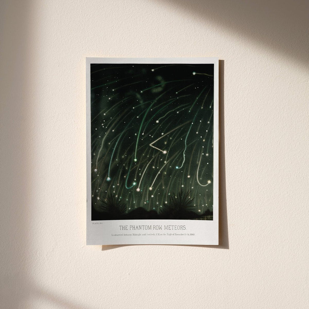 November Meteors — Celestial Print