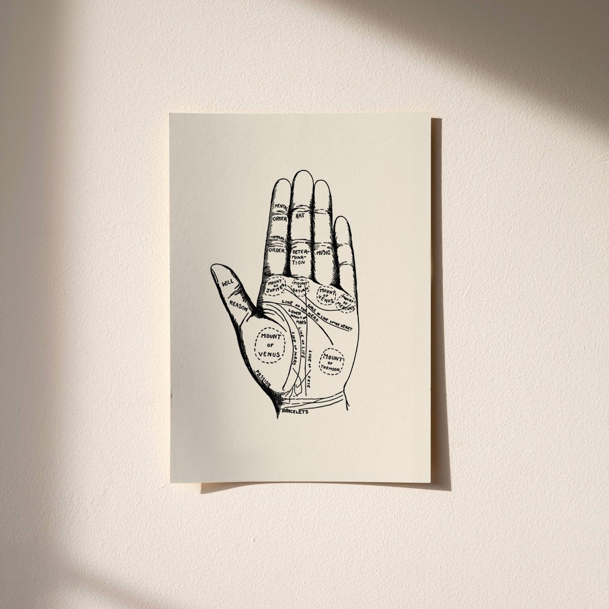 Palmistry — Vintage Print