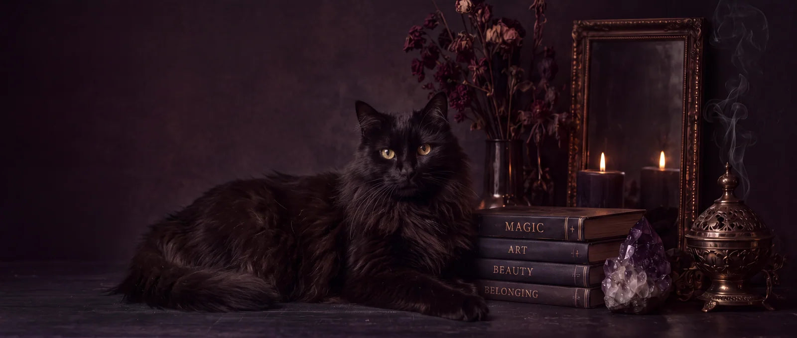 Black cat with candlelight, dark botanicals, amethyst and antique brass.